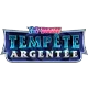 Tempête Argentée